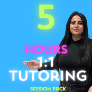 Individual Tutoring Session 5 Hour