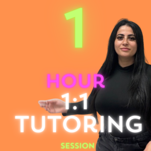 Individual Tutoring Session 1 Hour